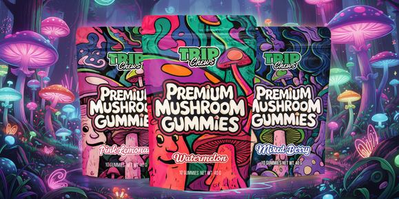 Mushroom Gummies: The Ultimate 2026 Guide to Benefits, Effects, Legality & Comparisons