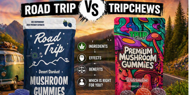 Road Trip Mushroom Gummies vs TripChews: Ingredients, Effects, & Which Is Right for You