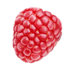 Close-up of a raspberry on a white background
