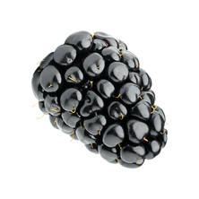 Blackberry on a white background