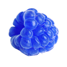 Blue-Rasberry
