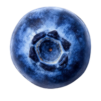 Blueberry