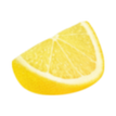 Sliced lemon on a white background