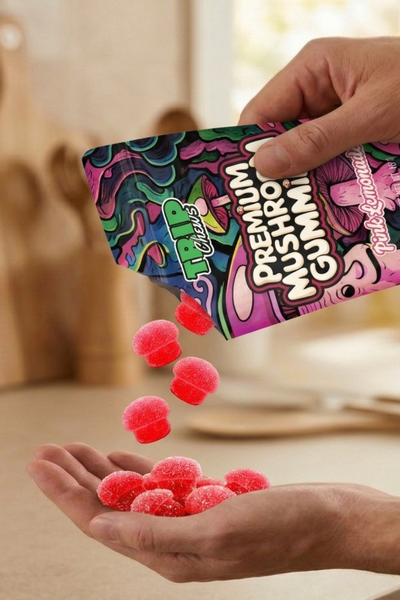 Hand holding a colorful package of Premium Mushroom Gummies with red gummy mushrooms spilling out.