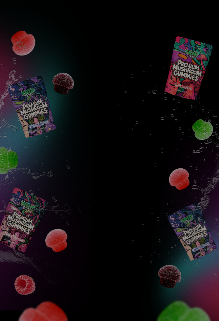 Colorful packaging of 'Premium Mushroom Gummies' with gummy mushrooms on a dark background.